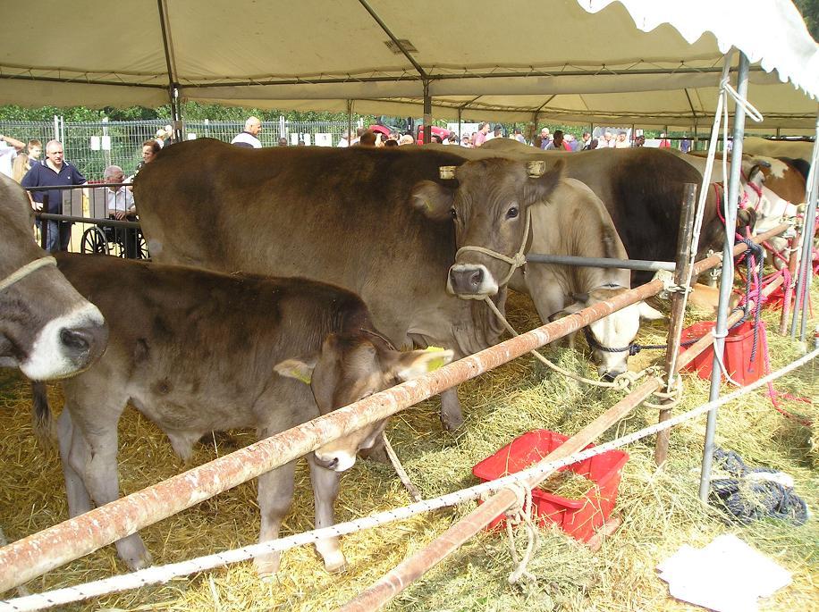 FieraBestiane (35).JPG